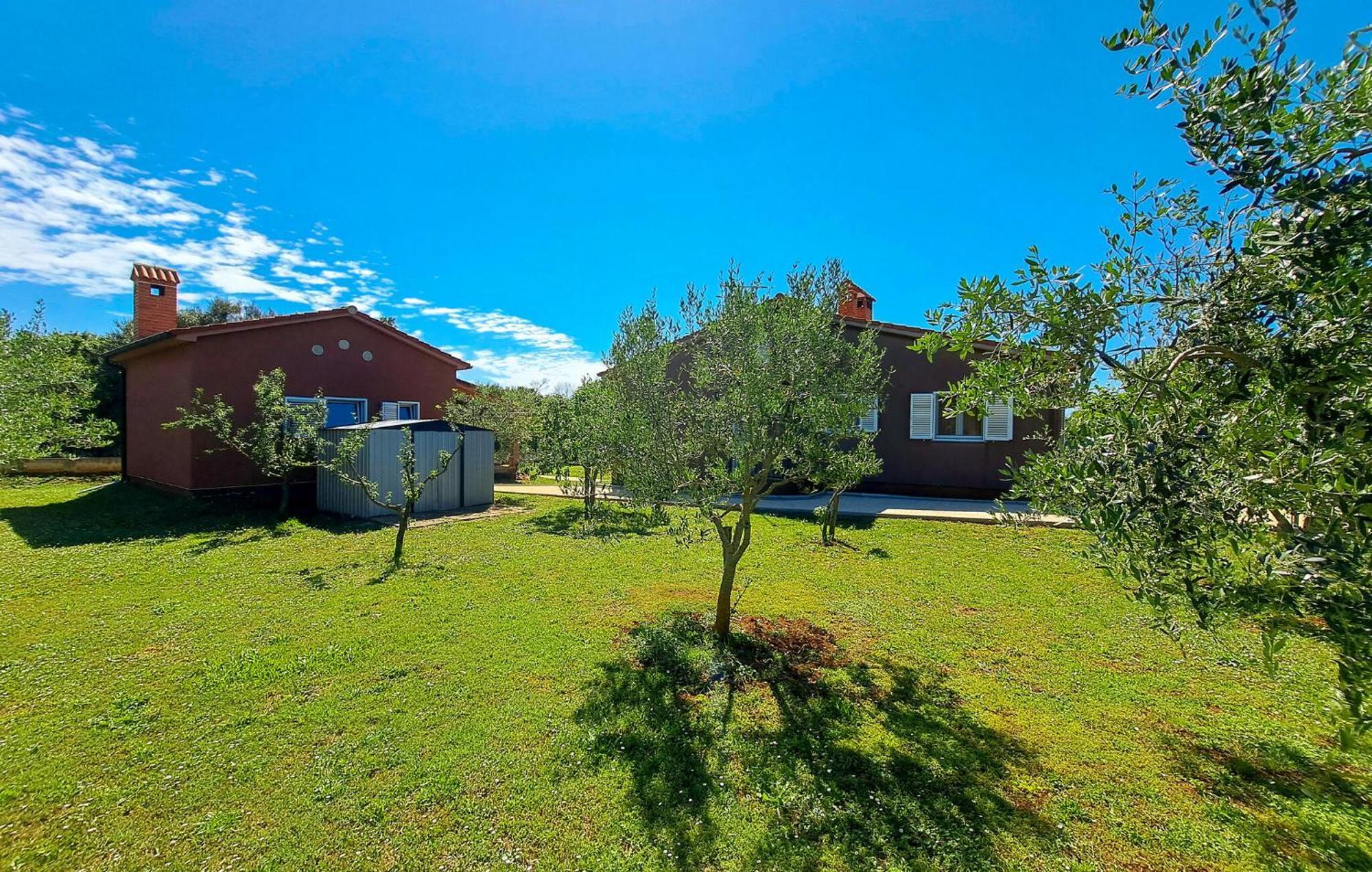 Pet Friendly In With Kitchen *
