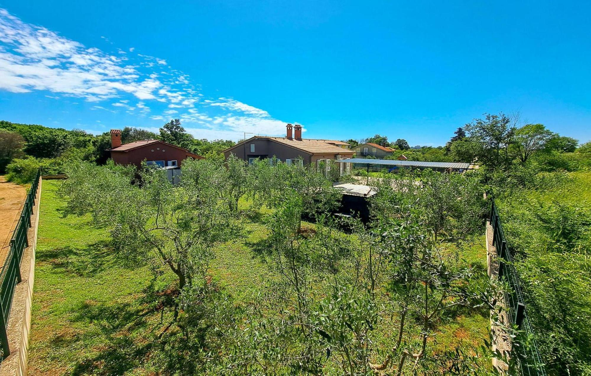 Pet Friendly In With Kitchen * Pula